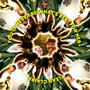 YOU'LL NEVER BE WHAT'S BEST FOR HER (feat. Rob Buck) [Explicit]
