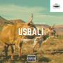 Usbali (feat. Switcher) [Explicit]