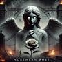 Northern Rose