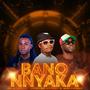 Bano Nnyaka (feat. Dr Razolo)