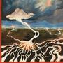 ROOTS