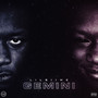 GEMINI￼ (Explicit)