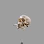 Dead Weight (Explicit)