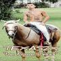 I'M FROM TEXAS (feat. MISTA B) [Explicit]