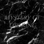 Mystery Of The Ring