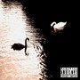 Swans (Explicit)