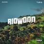 RioWood (Explicit)