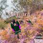 Gemini (feat. Lesley King Ochré) [Explicit]