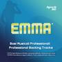 Basi musicali: Emma (Backing Tracks)