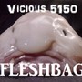 Fleshbag