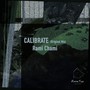 Calibrate (Original Mix)