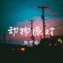 动物派对
