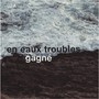 En eaux troubles