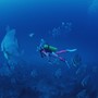 The Undersea World