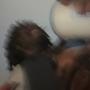 Kerfuffle (Explicit)