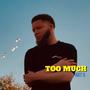 Too Much:, Pt. 2 (Explicit)