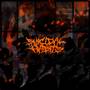 SUICIDAL HABITS (Explicit)