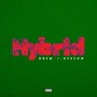 Hybrid (Explicit)