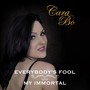 Everybody's Fool/My Immortal