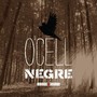 Ocell Negre