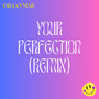 Your Perfection (Remix)