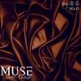 Muse (The Mixes)