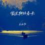 像过期的春天