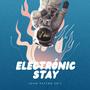 Electronic Stay