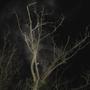 So I May Bleed Through the Veil Again (Explicit)