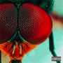 Fly (Explicit)