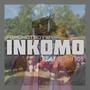 INKOMO (feat. Dumi 105)