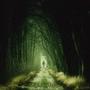 Without You (Explicit)
