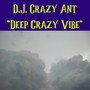 Deep Crazy Vibe