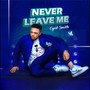 Never Leave Me