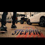 STEPPIN (Explicit)