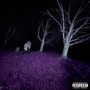 SLEEPLESS NIGHTS (Explicit)