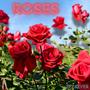 Roses (Explicit)