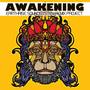 Awakening: EarthRise SoundSystem Remix Project