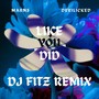 Like You Did (DJ Fitz Remix)