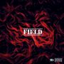 Field (Explicit)