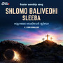 Shlomo Balivedhi Sleeba