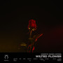 Wilted Flower