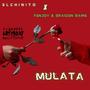 Mulata (feat. Fenjoy & Braiden Bamg) [Explicit]