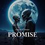 Promise