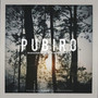 Pubiro