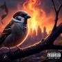 Birdie against the world (Explicit)