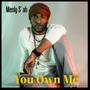 You Own Me