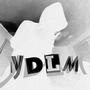 YDLM (Explicit)