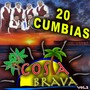 20 Cumbias, Vol. 2