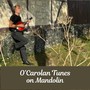 O'Carolan Tunes on Mandolin